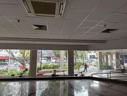 Balestier Point (D12), Shop House #613755751